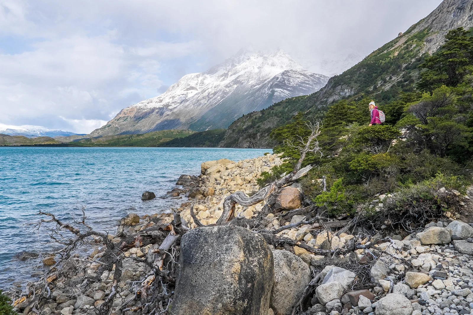 WTrek_Patagonia_HarrisDro-33.jpg