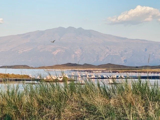7D636B04-341D-41B4-BB8D-67AE9F4704DC-IMG_9368.jpeg