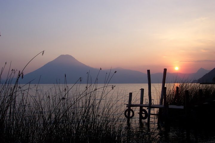 Sunset and Tul plants.jpg