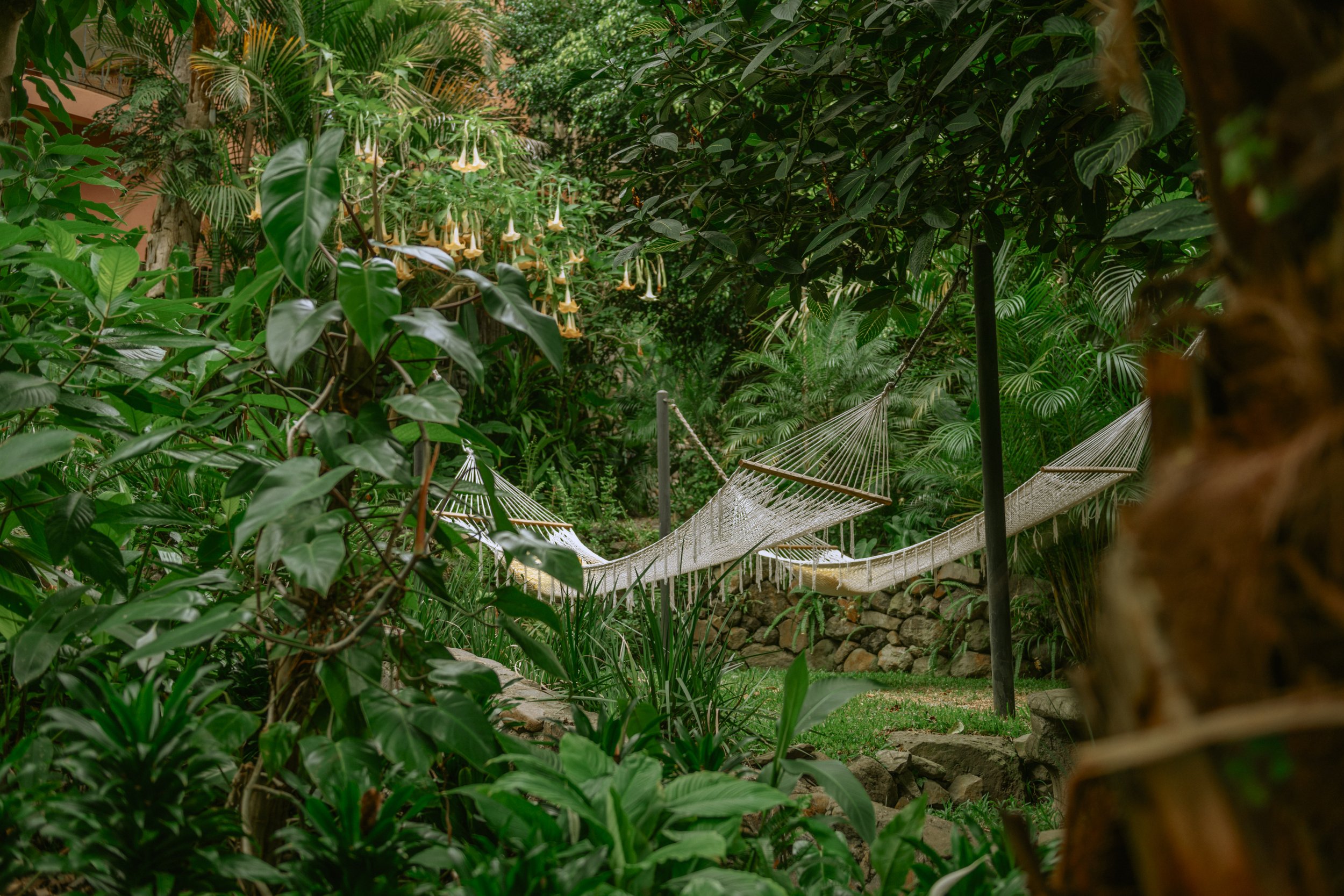 Hammocks in garden.jpg