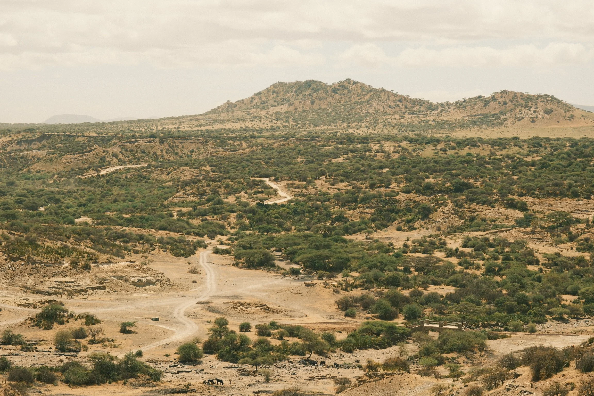 olduvai_soren79_DSCF5828.JPG