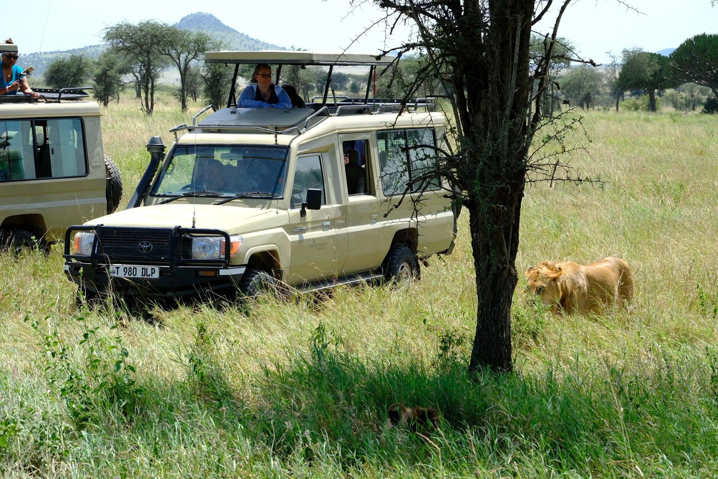 DSCF5310.JPG