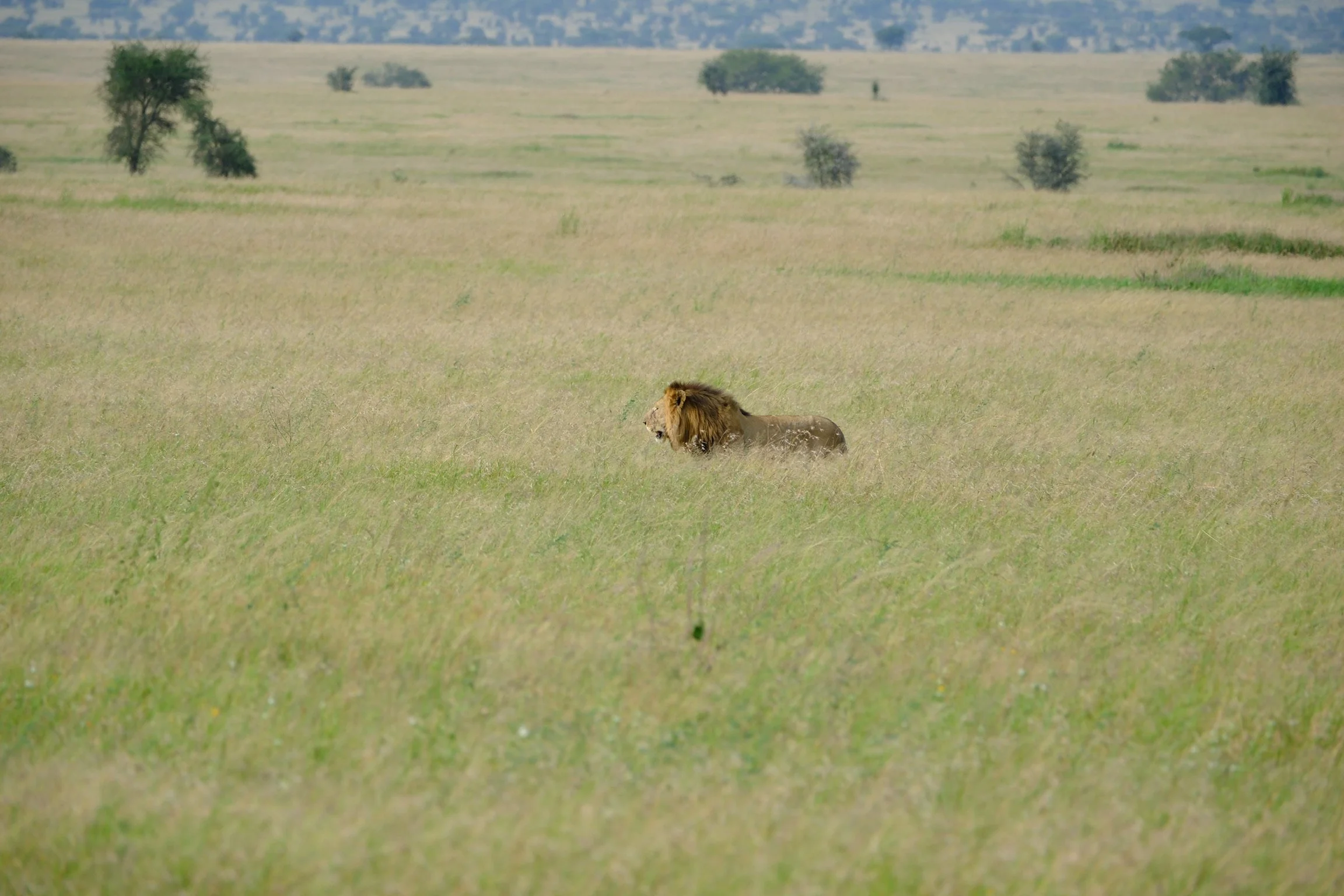 DSCF5103.JPG