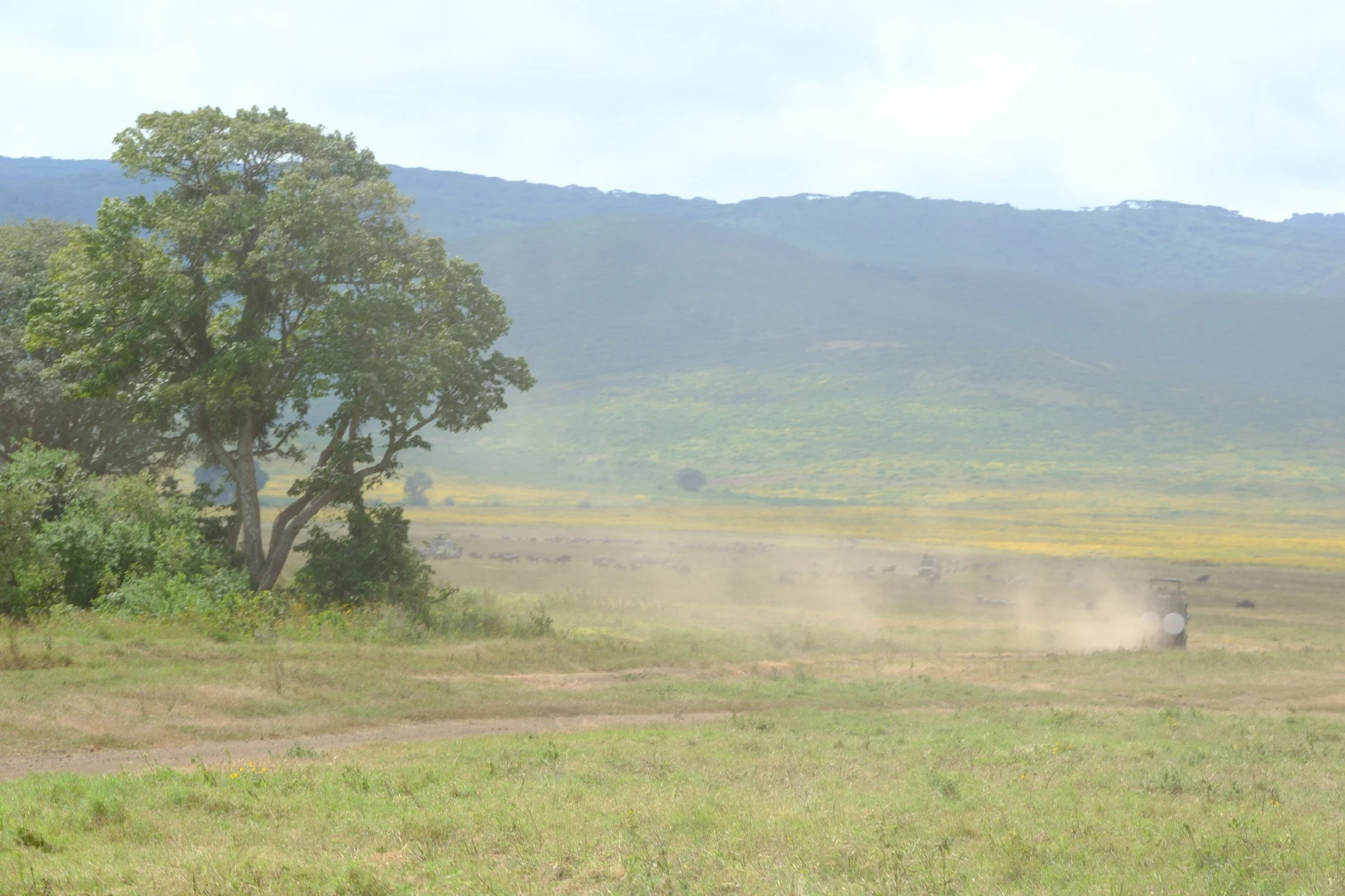 ngorogoro jeep_soren79_DSCF4862 (1).JPG