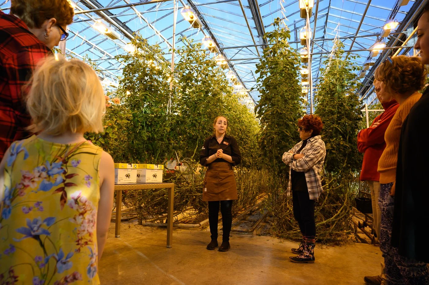 Fridheimar Tomato Farm-5078.jpg