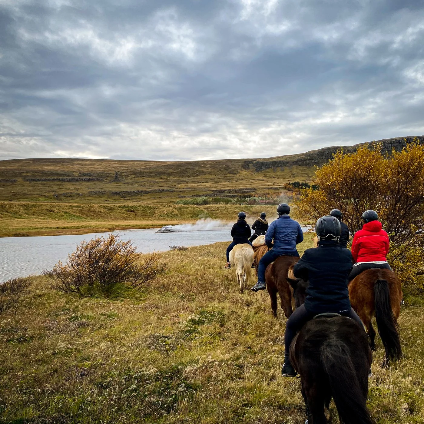 Sturlureykir Horse Farm-2501.jpg