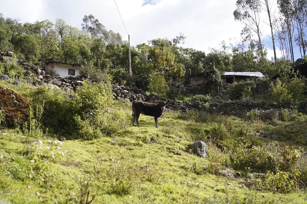 Vilcabamba_Peru_OffTheWing-63.jpg