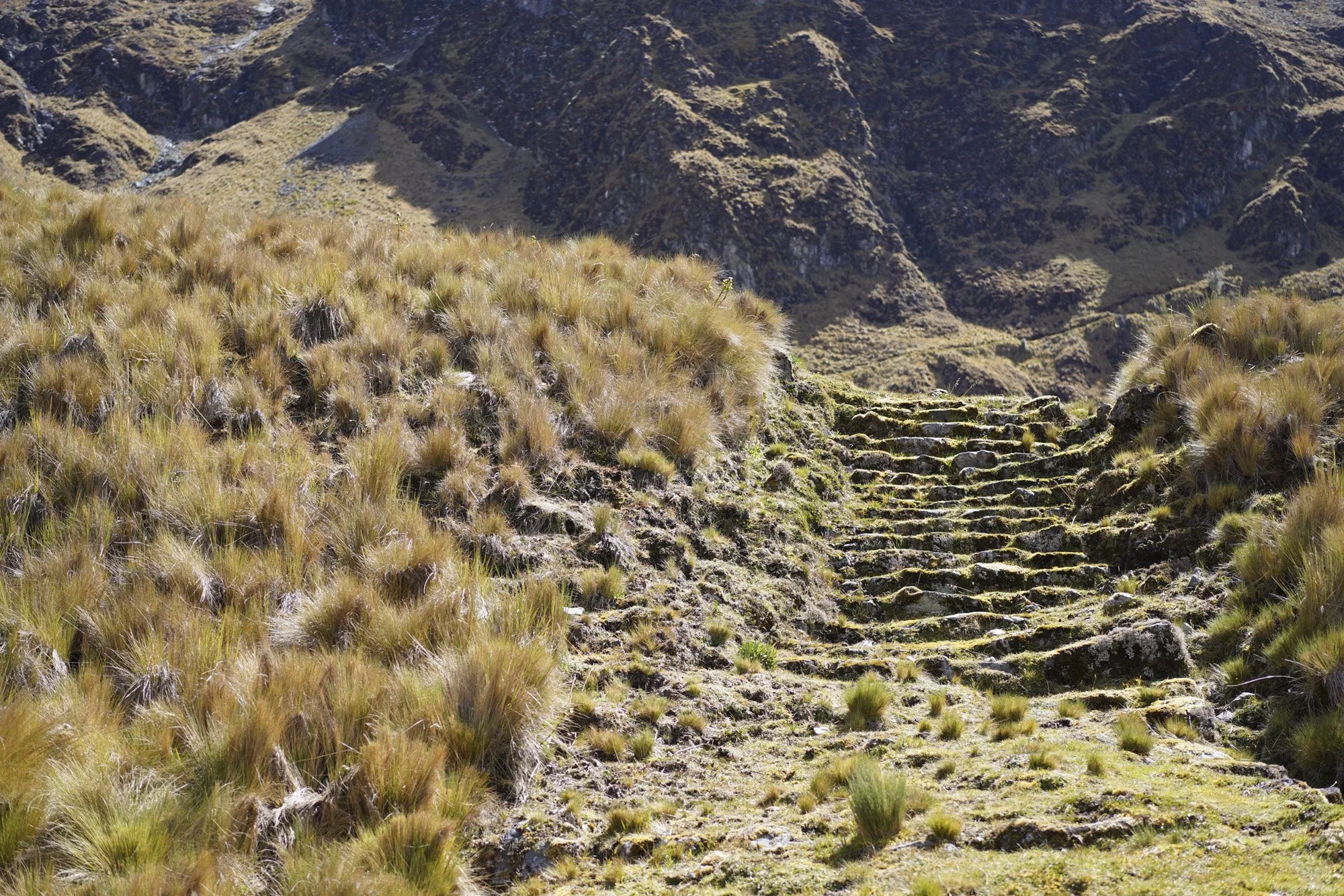 Vilcabamba_Peru_OffTheWing-46.jpg