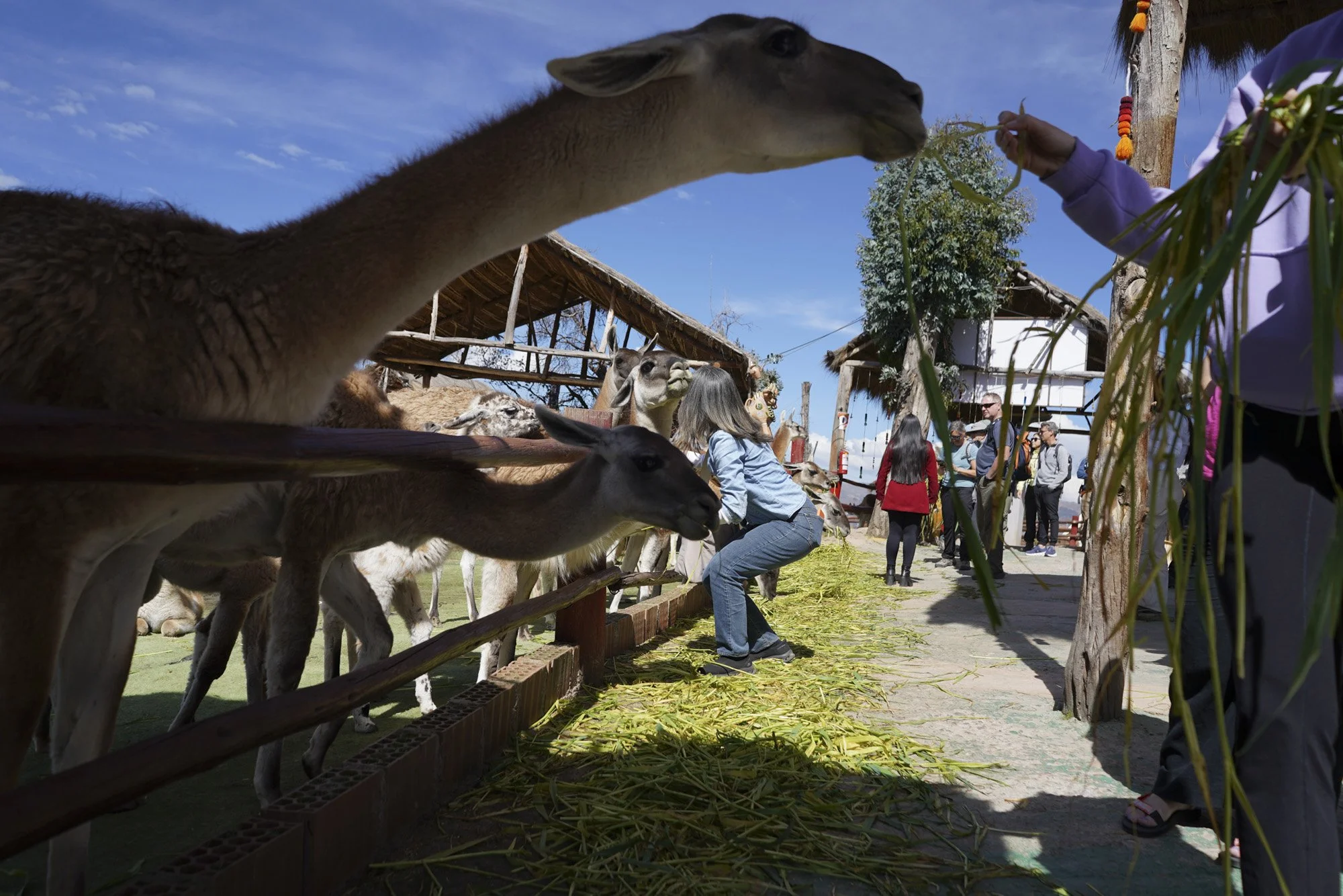 ManosDe_Peru_OffTheWing-10.jpg