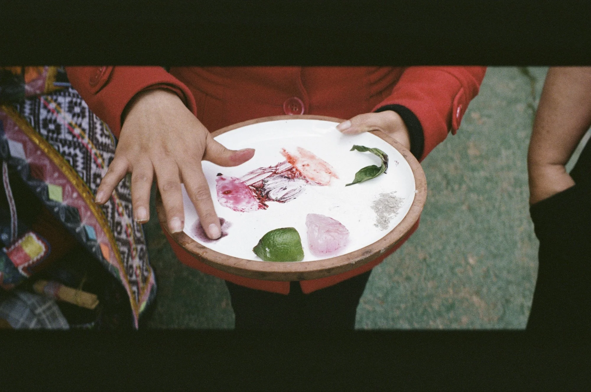 ManosDe_Dyes_Peru_OffTheWing-2.jpg