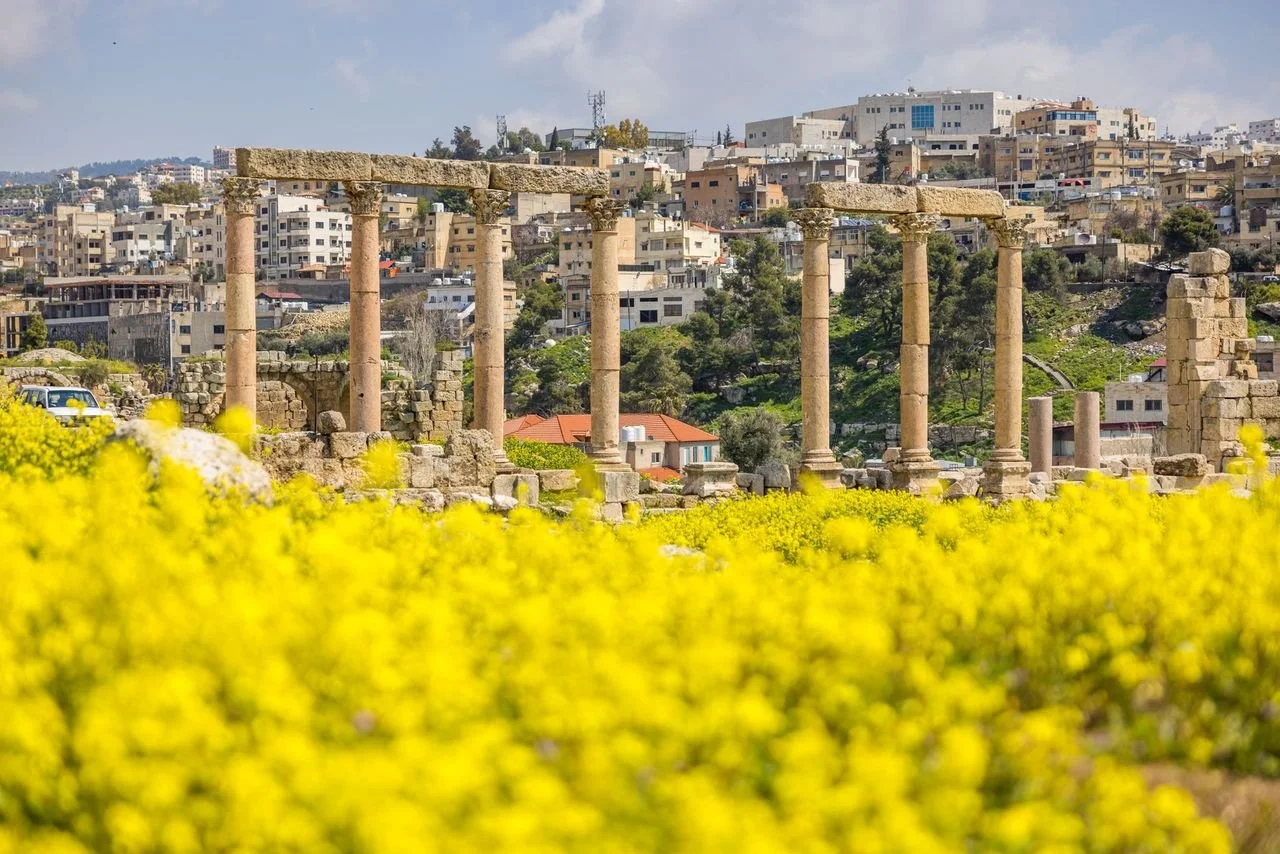 Jerash, ancient Roman site, blooming in spring