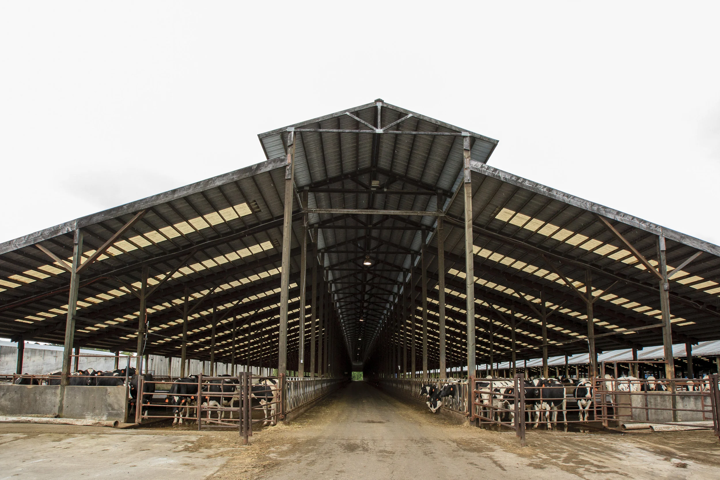 Barns Inside013IMG_1923a.jpg