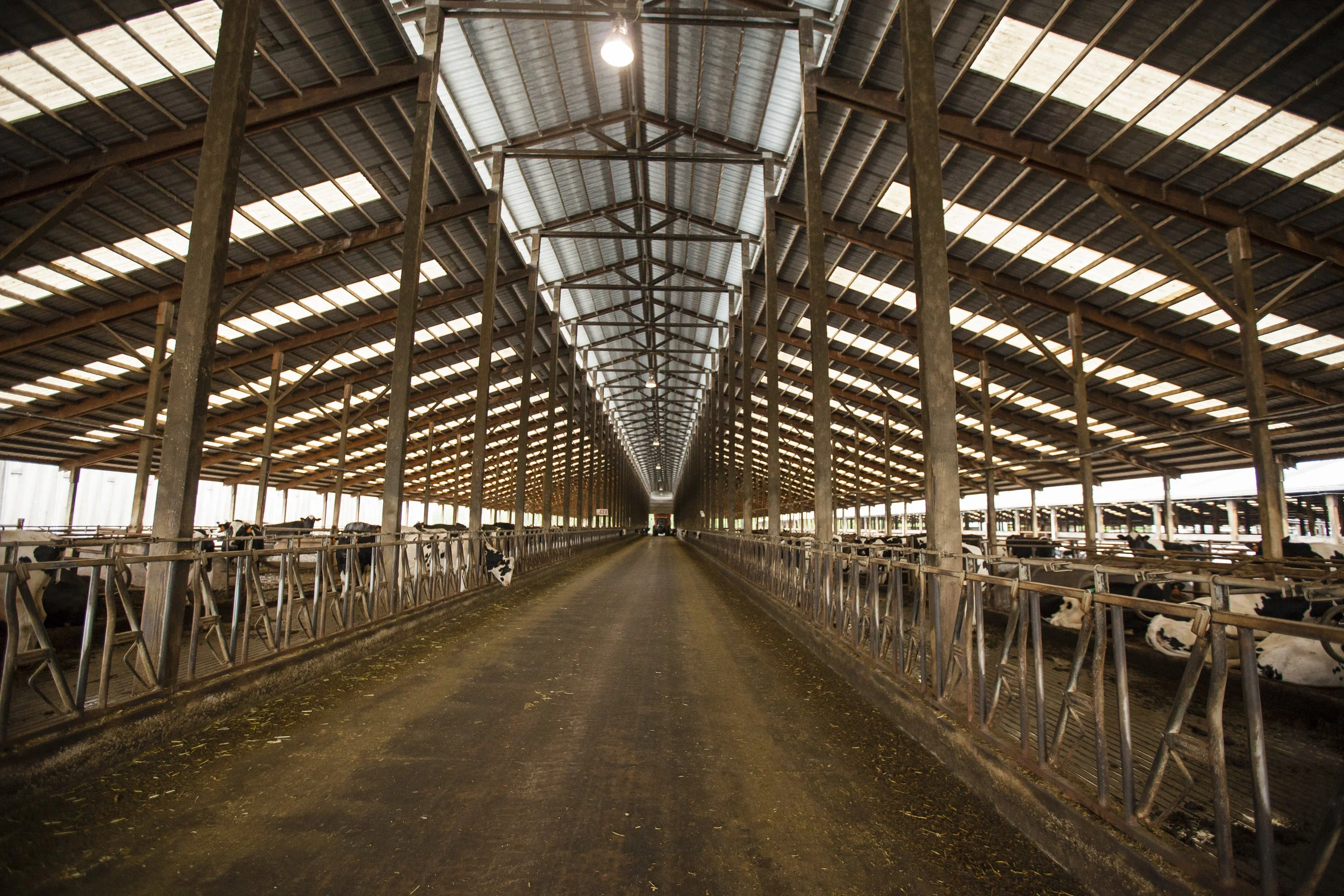 Barns Inside016IMG_1930a.jpg