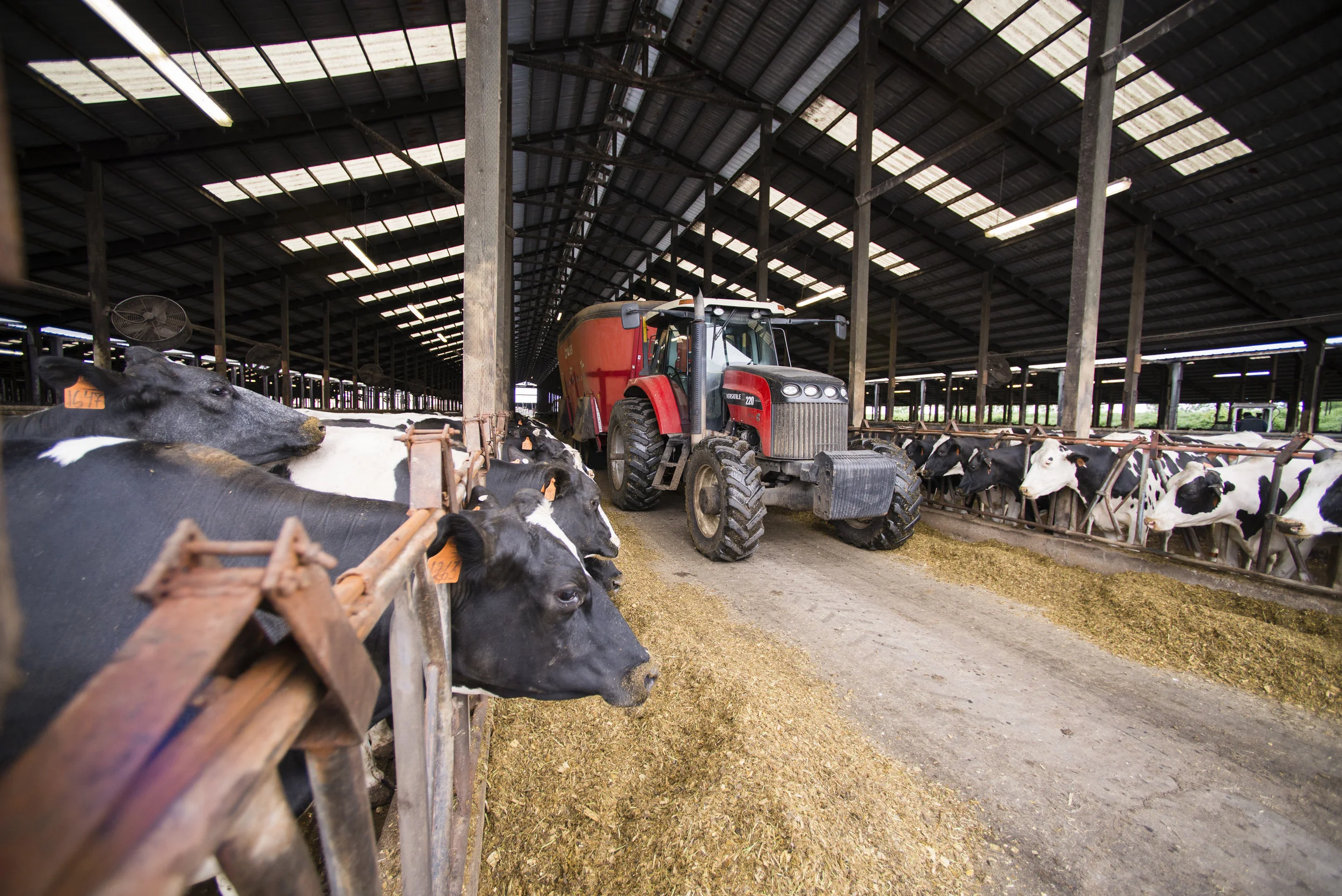 Compost, Bedding, Feed_002_DSC5488a.jpg