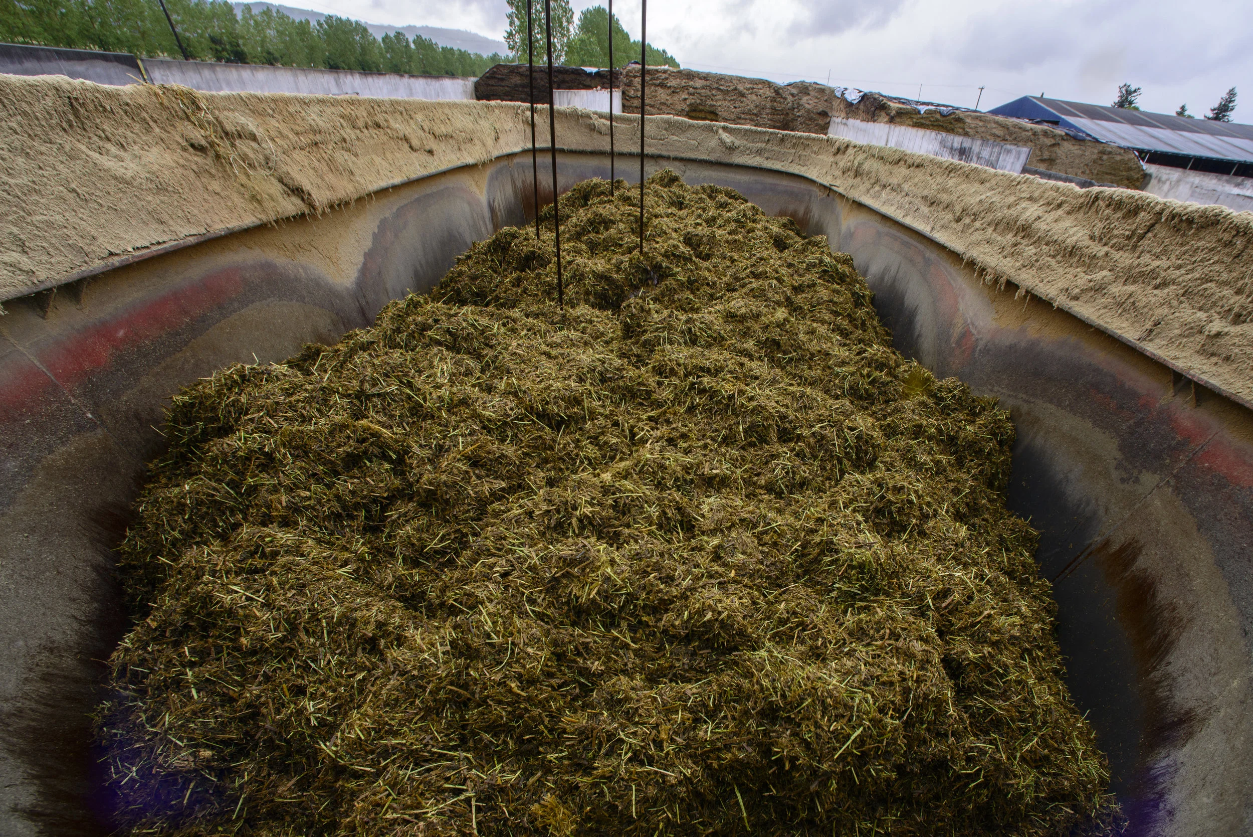 Compost, Bedding, Feed_019_DSC5506a.jpg
