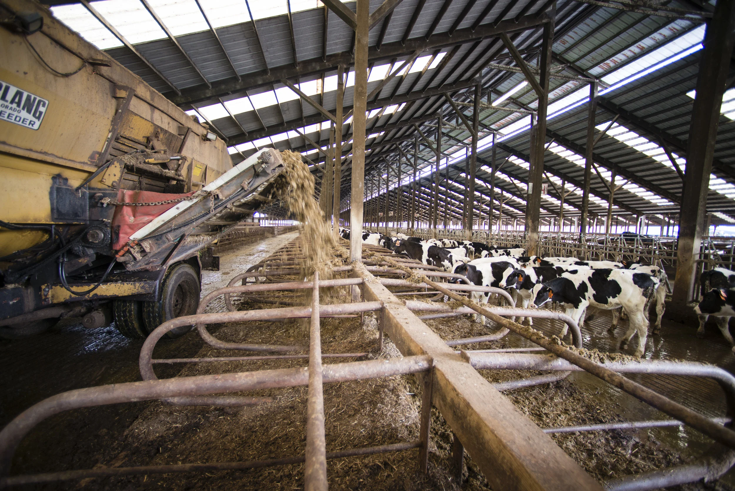 Compost, Bedding, Feed_033_DSC5542a.jpg