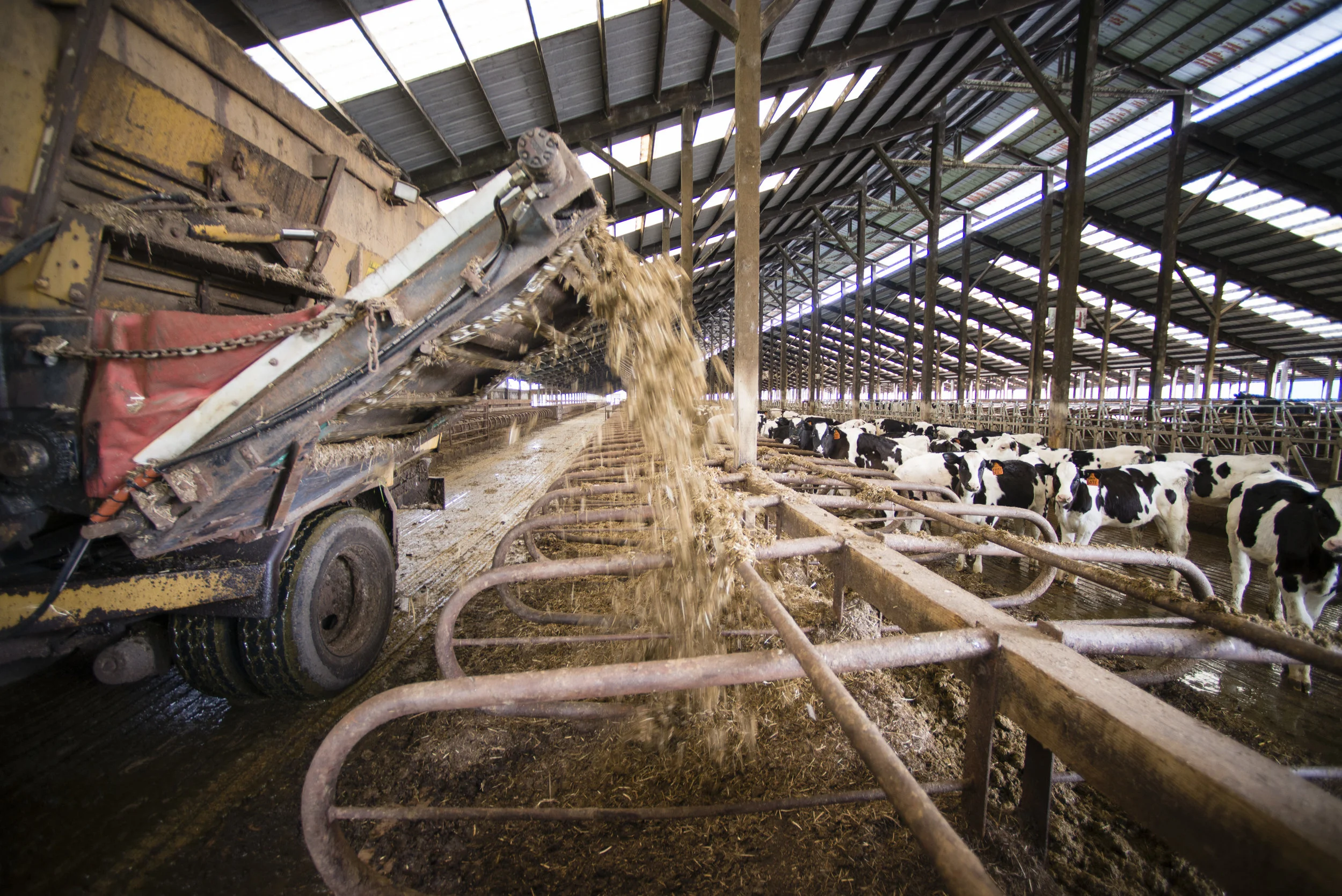 Compost, Bedding, Feed_034_DSC5543a.jpg