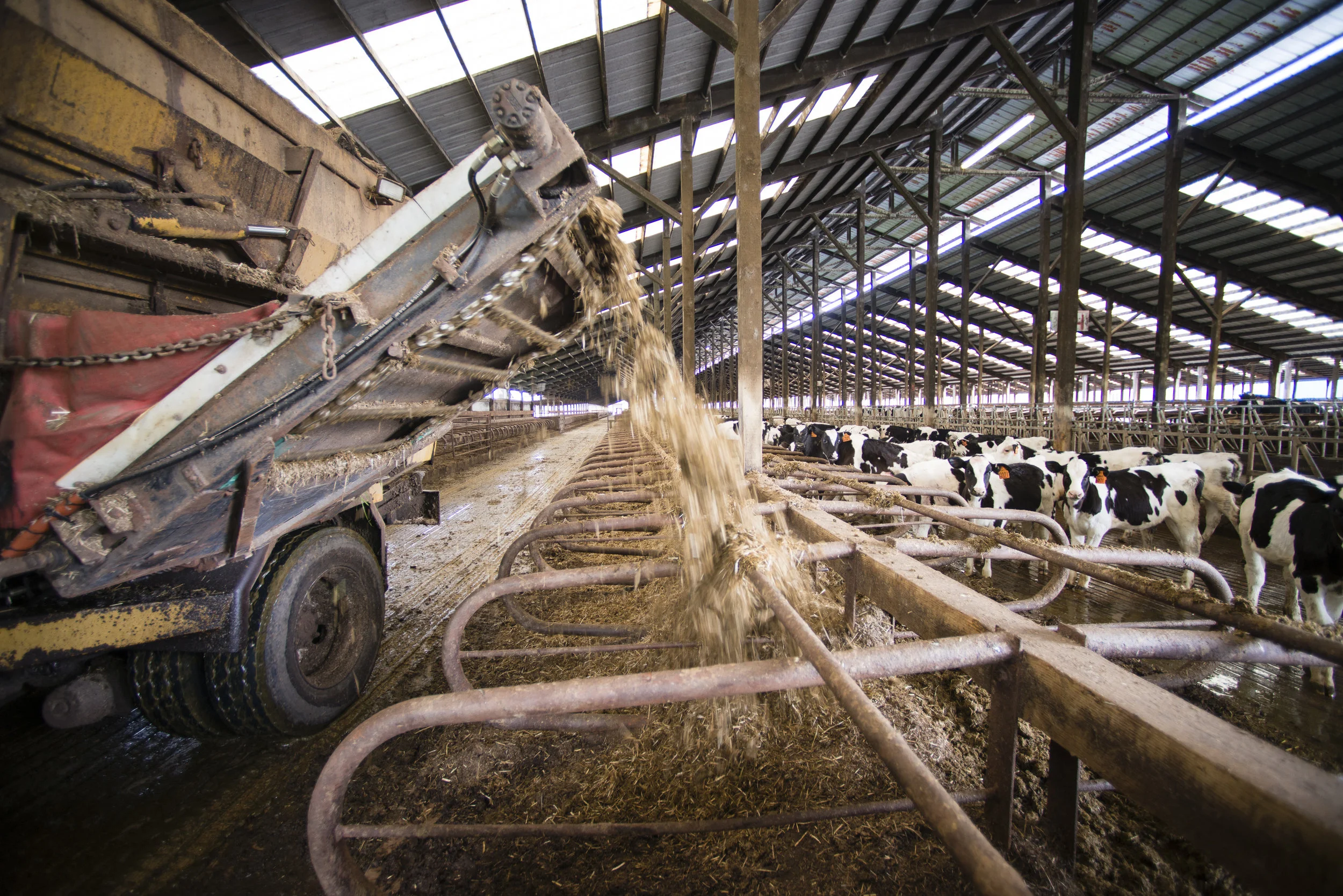 Compost, Bedding, Feed_035_DSC5544a.jpg