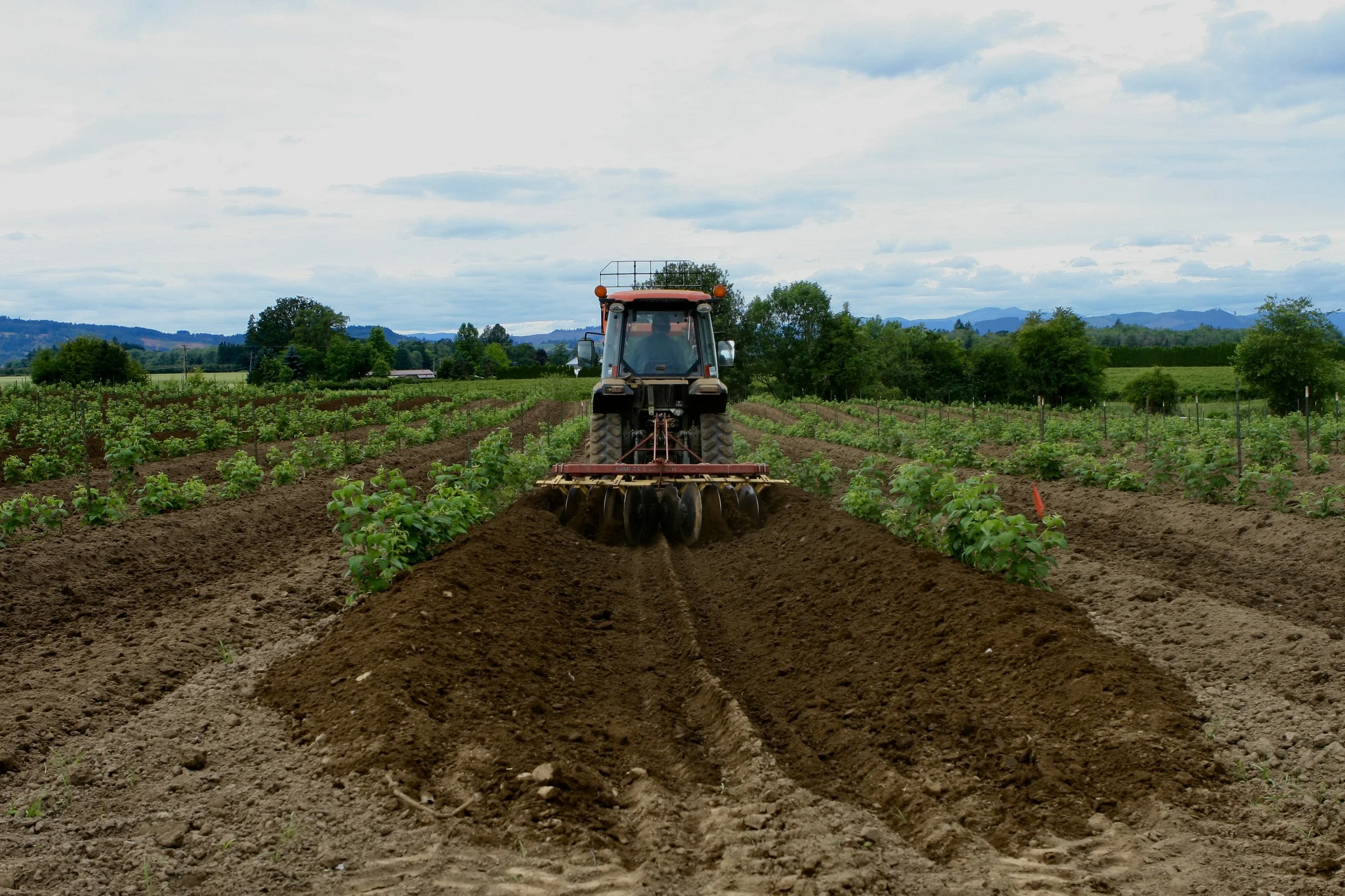 ArturoHilling19SBlackCaps6 6.14.2017.jpeg