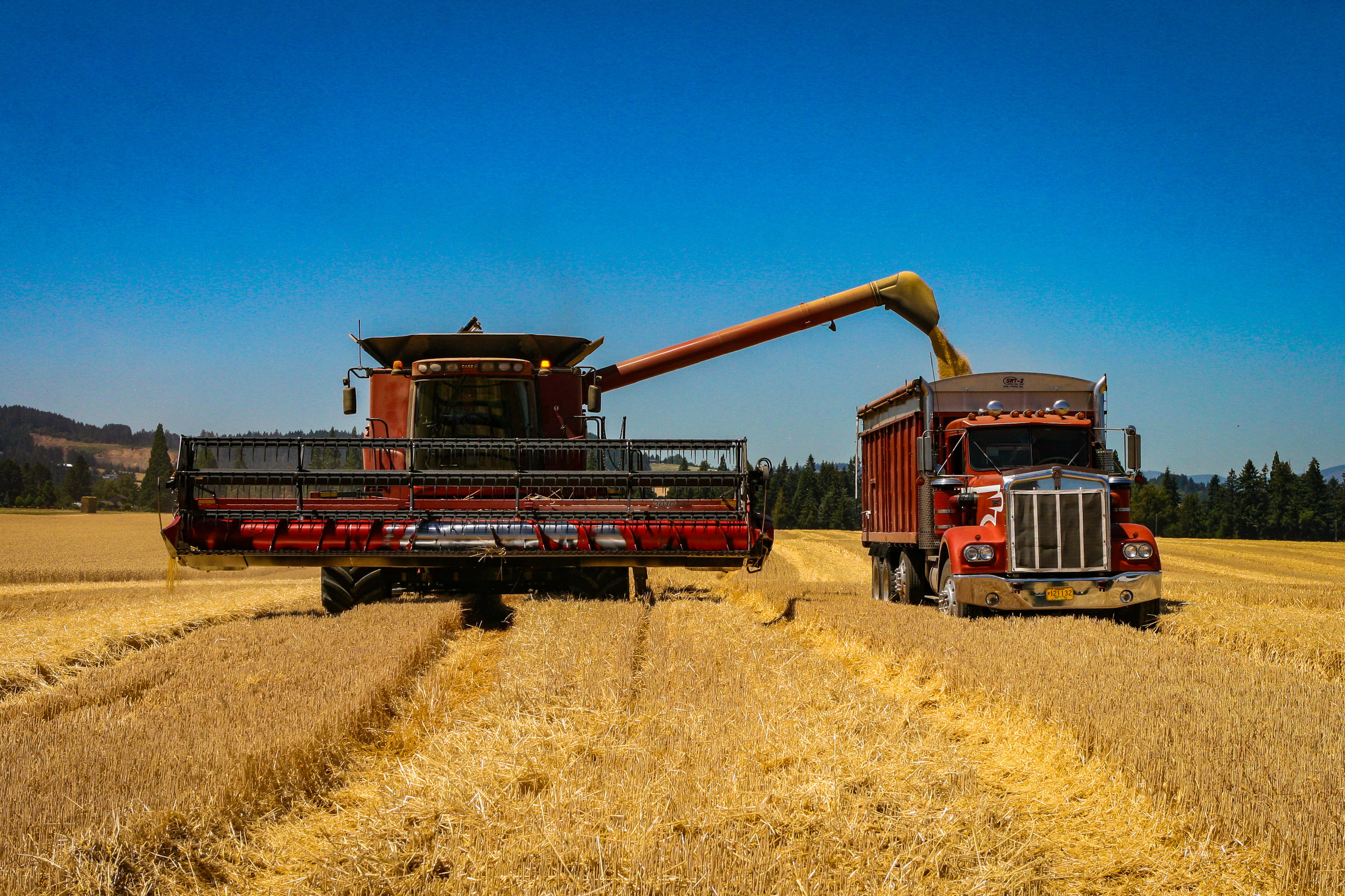 Field Dump 1 7.27.18.jpg