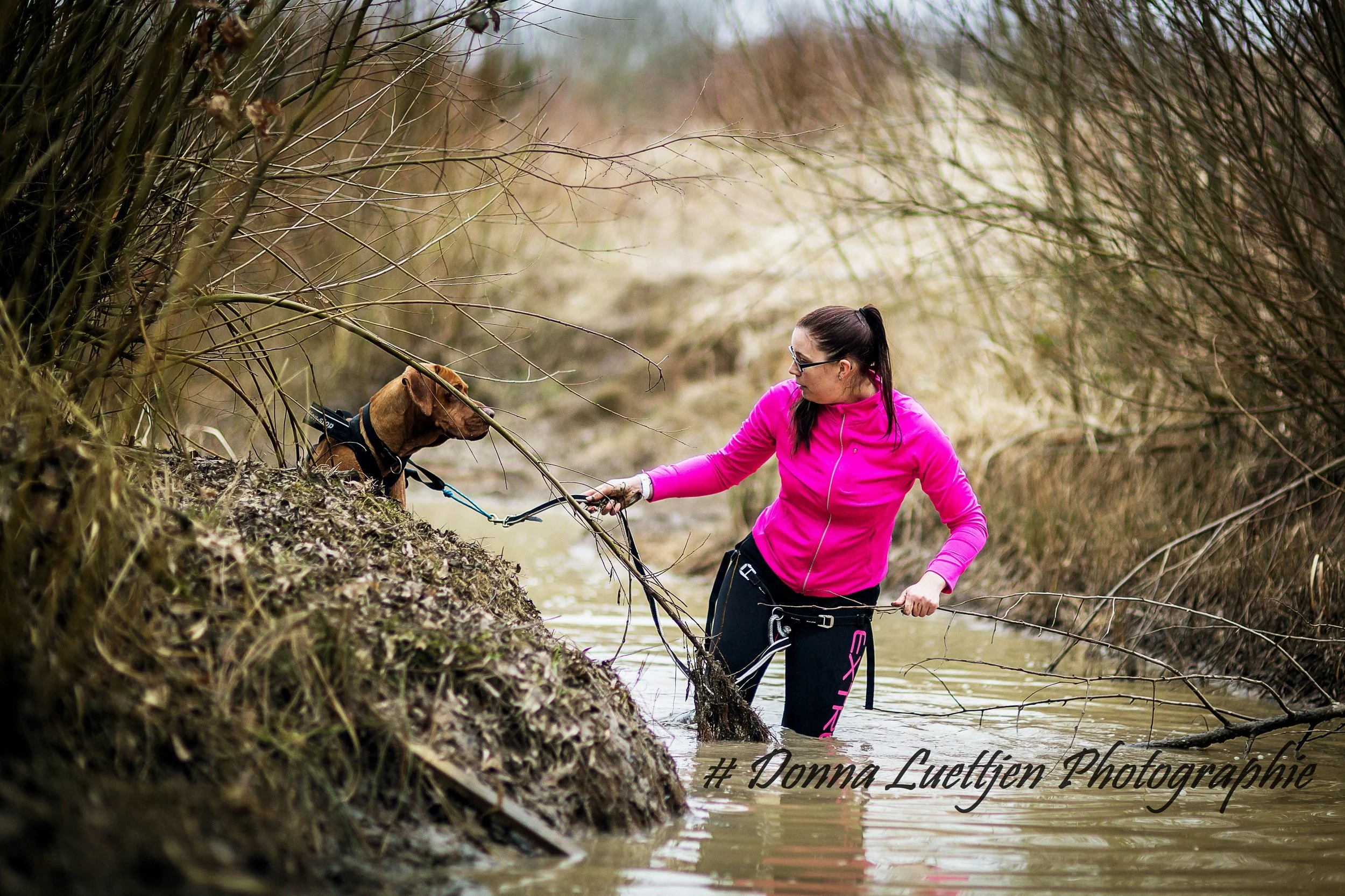 Camp Canis by Donna Luettjen.jpg