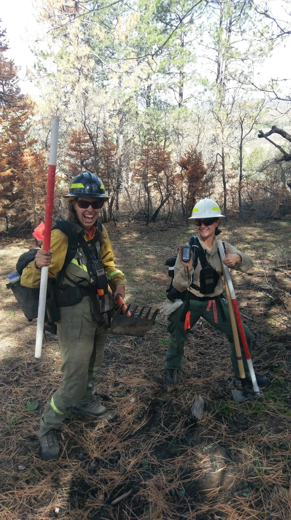 Excited for post-fire plot work during the 2017 Chama TREX