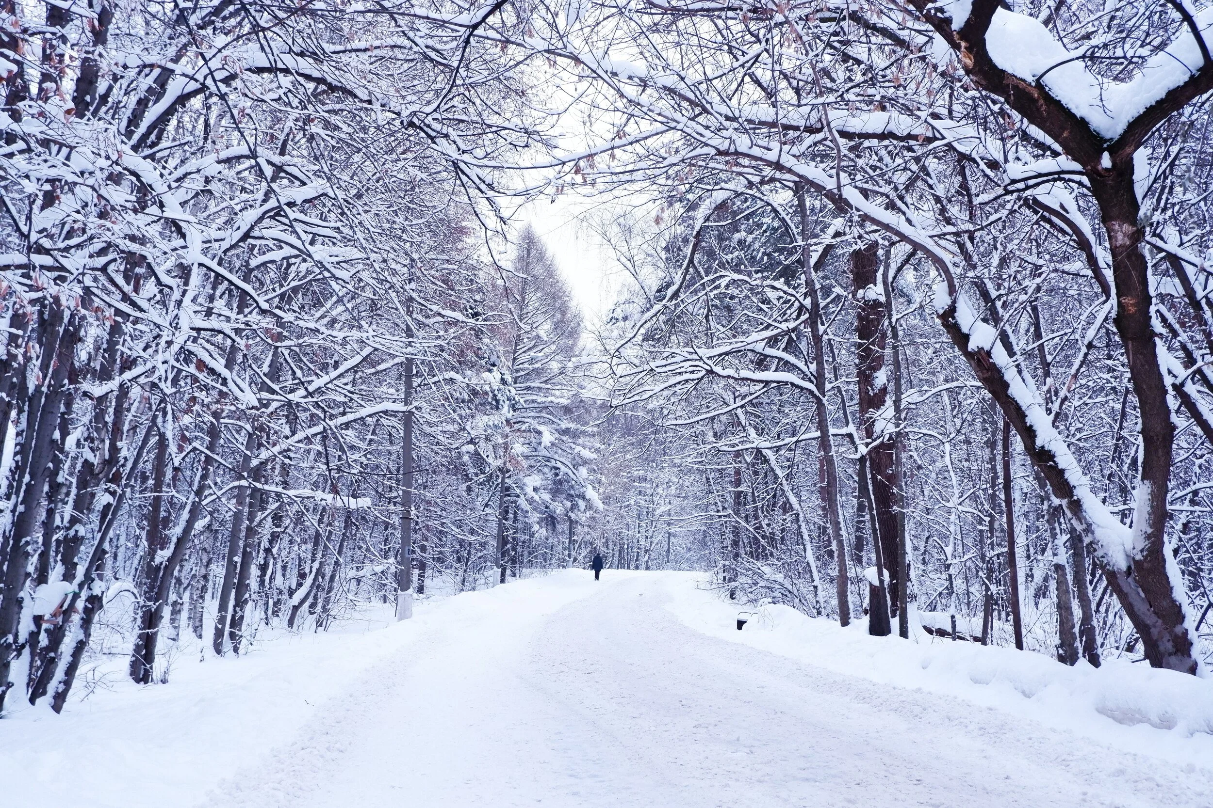 3 Ways to Celebrate the Winter Solstice