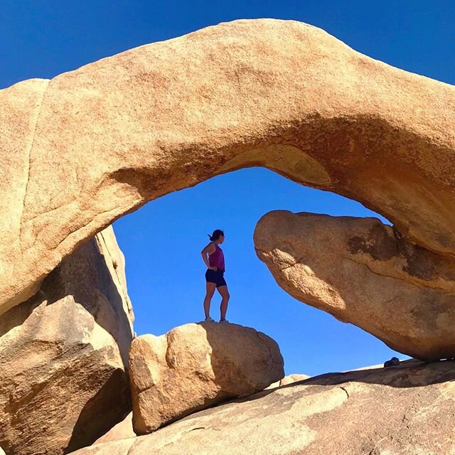 Reflecting and Celebrating Your Success in 2019