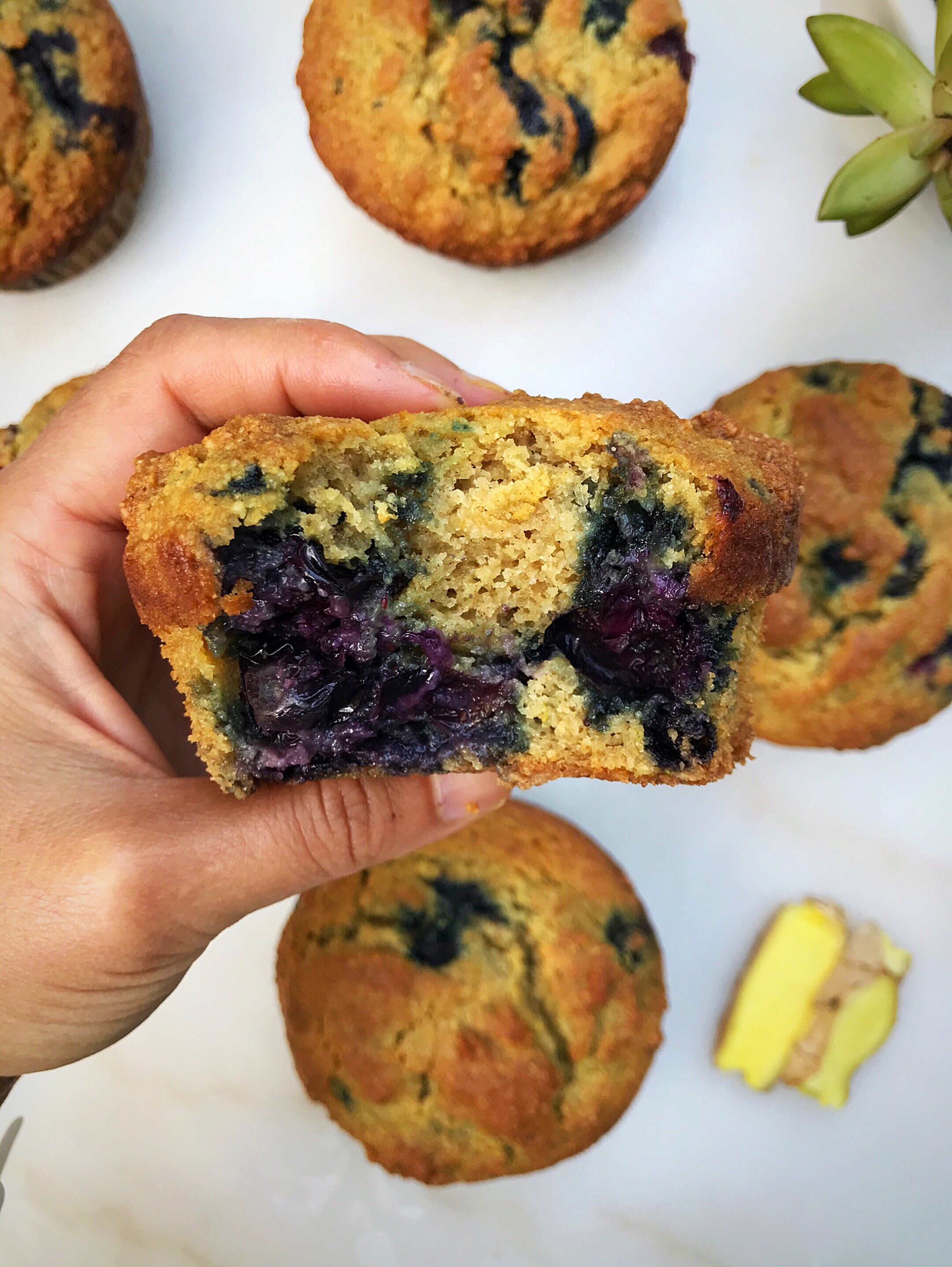 Paleo Blueberry Ginger Muffins
