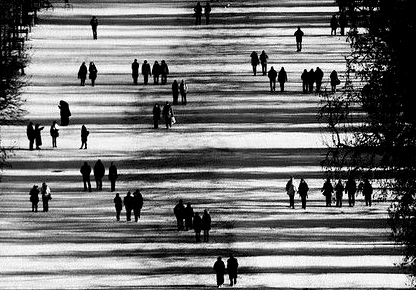 Screen Shot 2017-05-30 at 7.48.57 PM.png