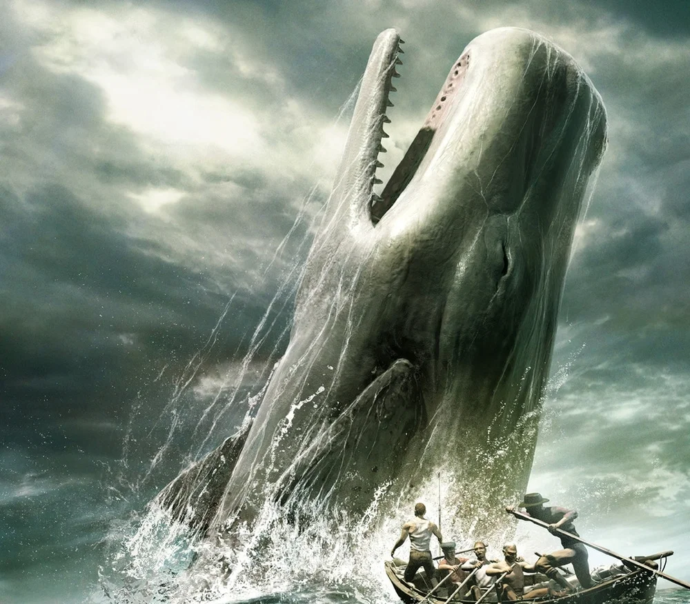 MobyDick.jpg