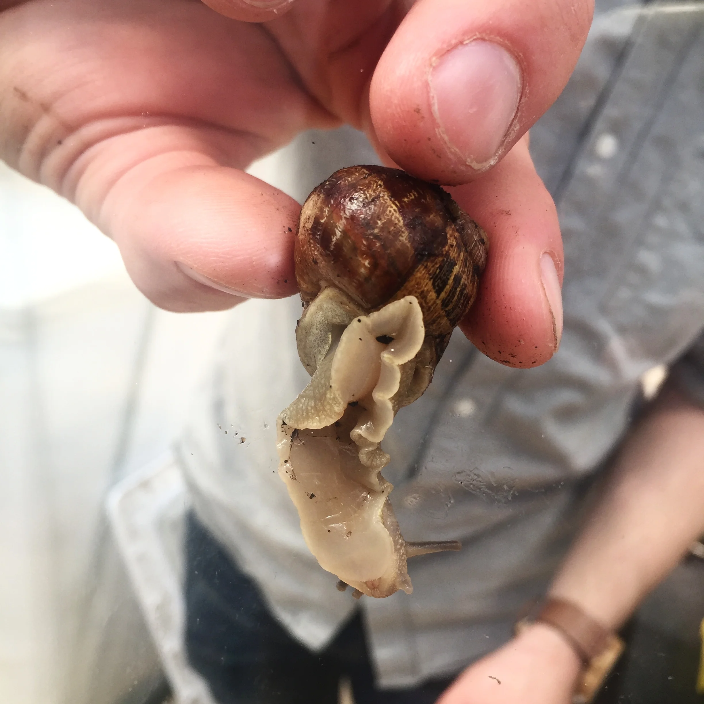 Video: Outtakes and behind the senes shots from Peconic Escargot