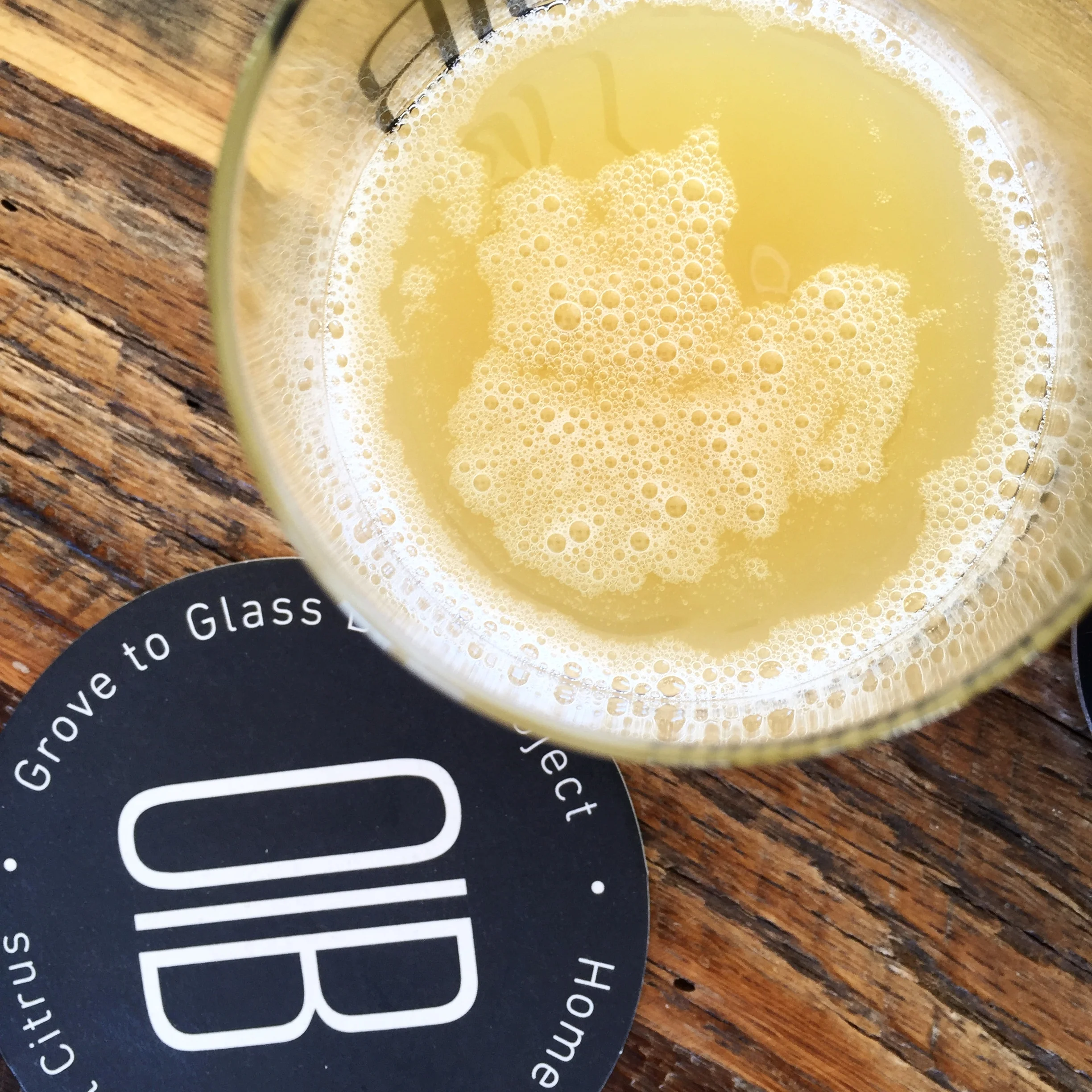 Alden and Val Bing craft beers "from grove to glass"