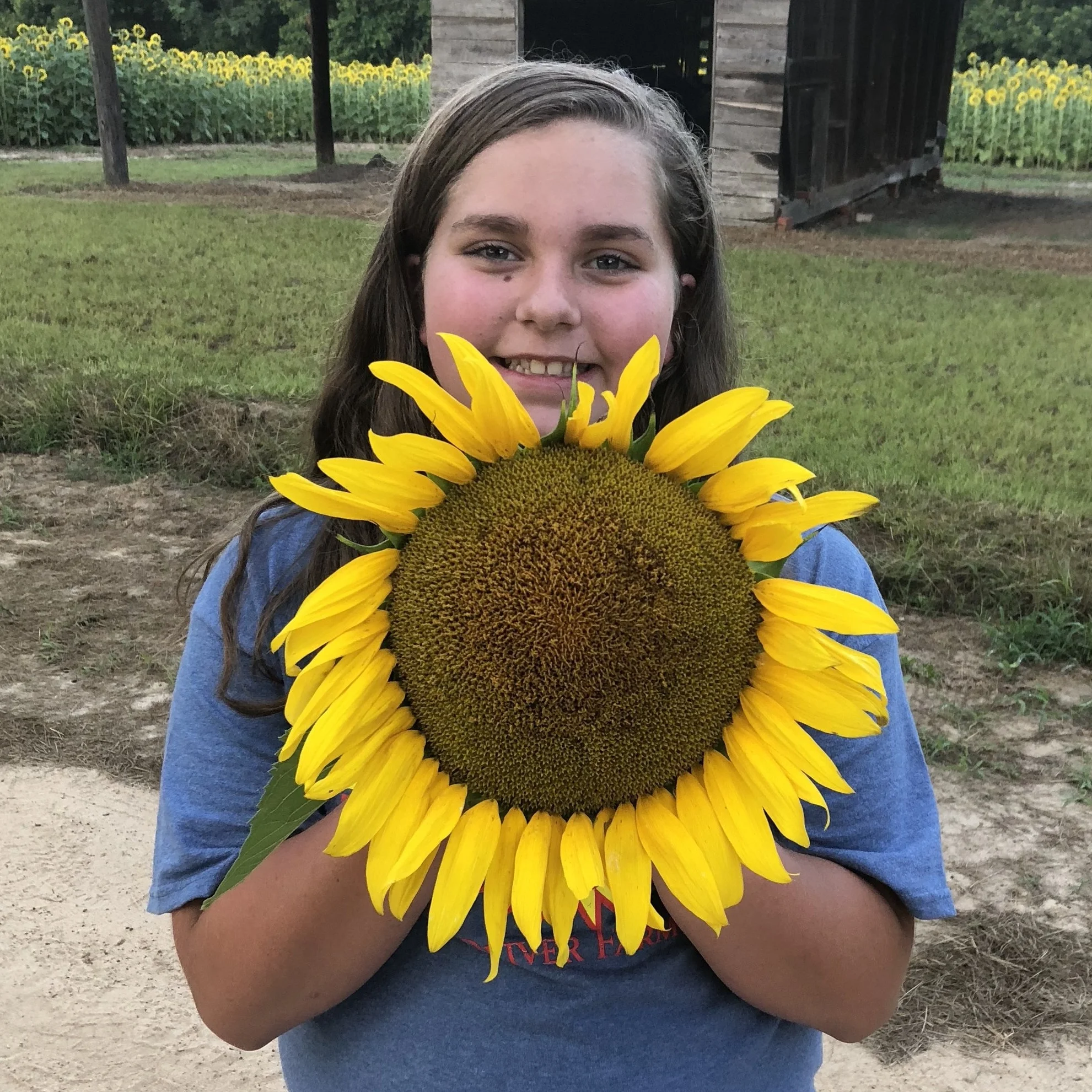 Video: Behind the scenes at Oliver Farm
