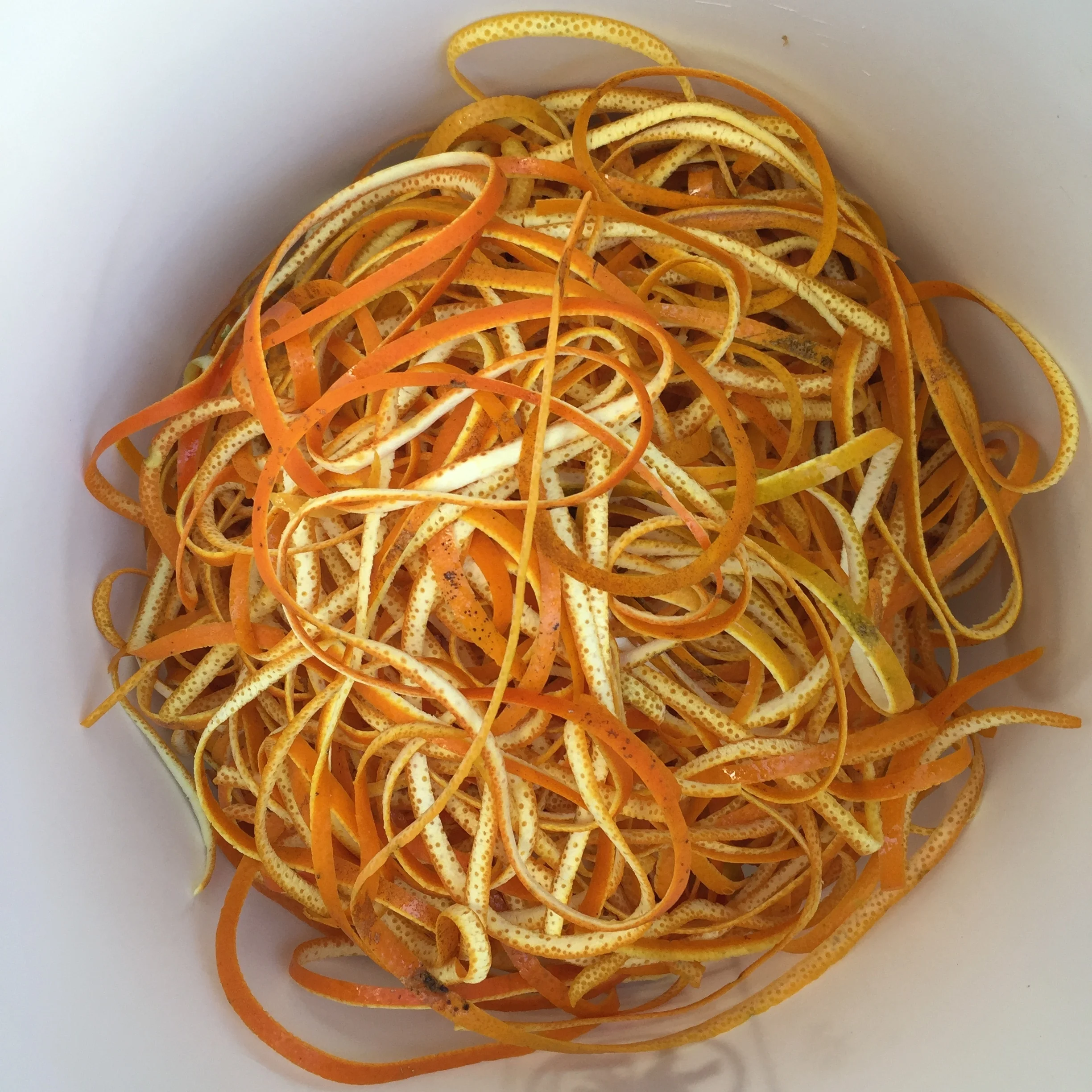 Video: Extra scene with OIB's Alden Bing chatting about fermentation 