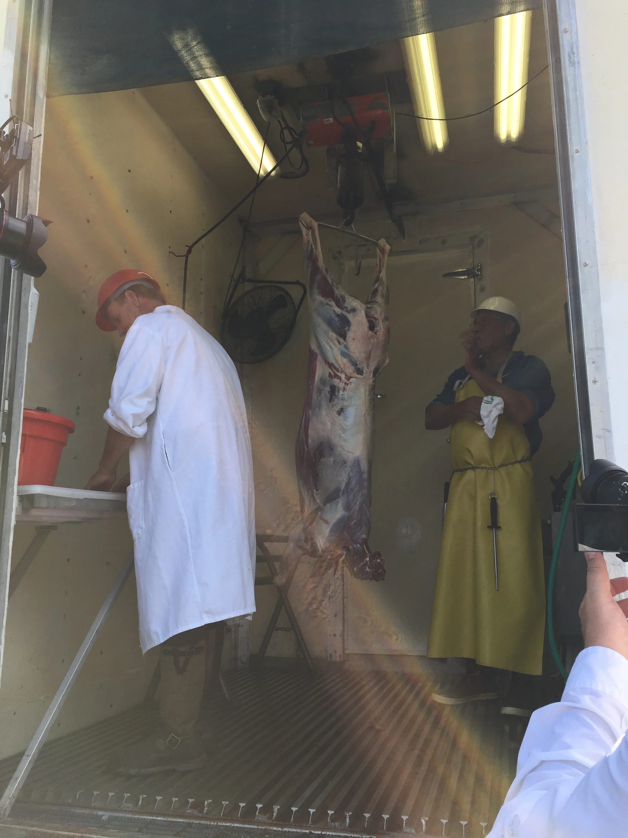 Video: Meet Broken Arrow Ranch's skinner