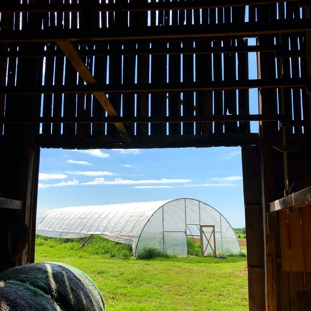 Closing the loop with Valley Spirit Farm 