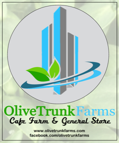 olivetrunk.png