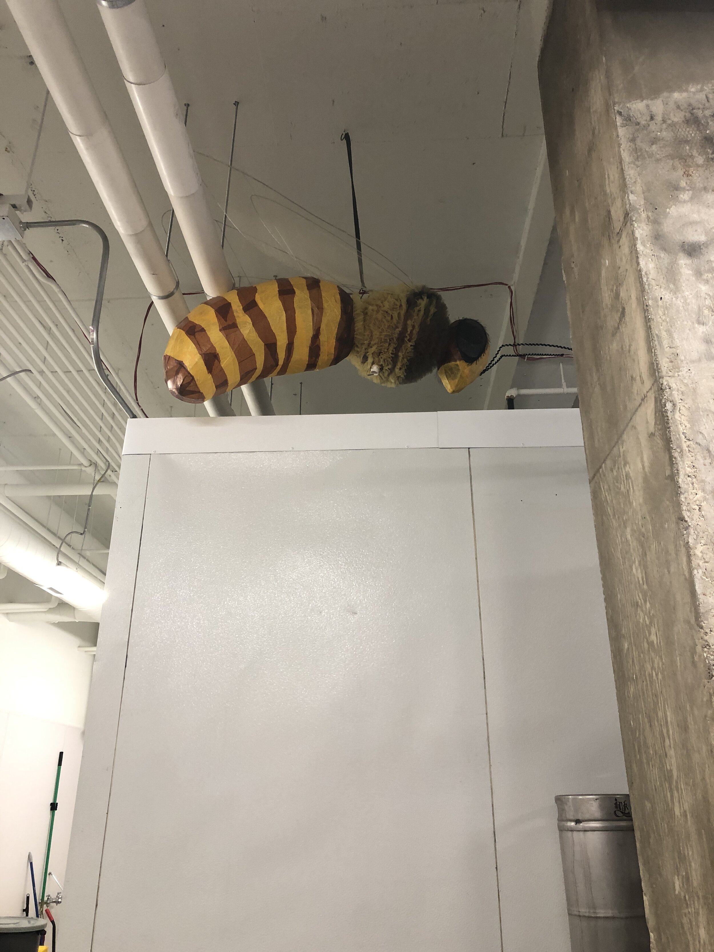 Take a peek inside the meadery at Bløm Meadworks in Ann Arbor — tasteMAKERS