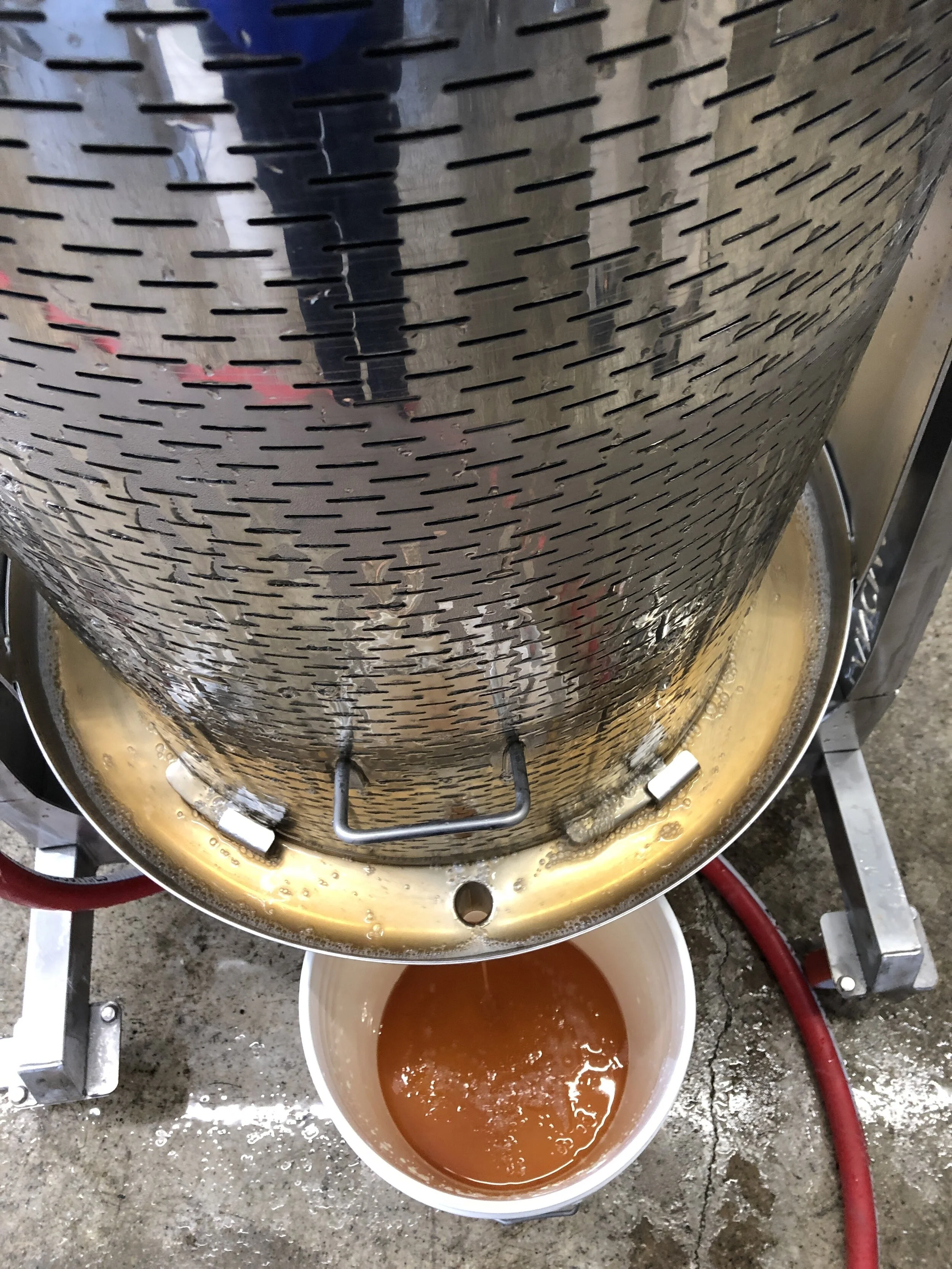 Take a peek inside the meadery at Bløm Meadworks in Ann Arbor — tasteMAKERS