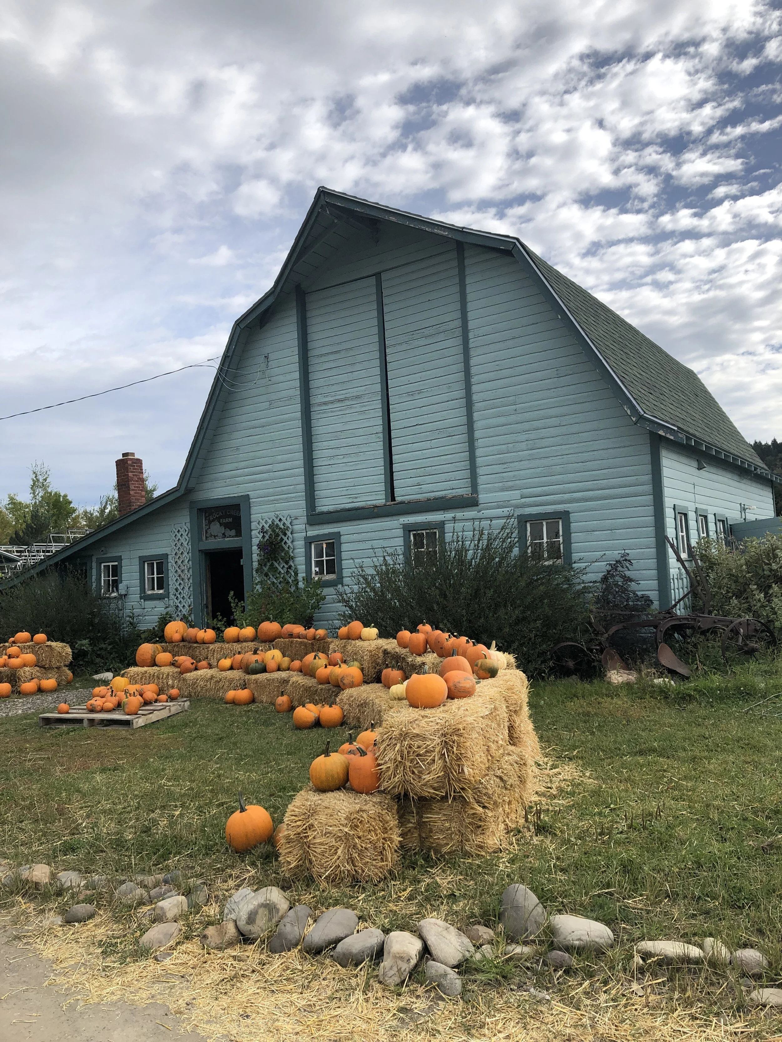 Matt and Jacy Rothschiller focus on "diversity and balance" at their farm near Bozeman
