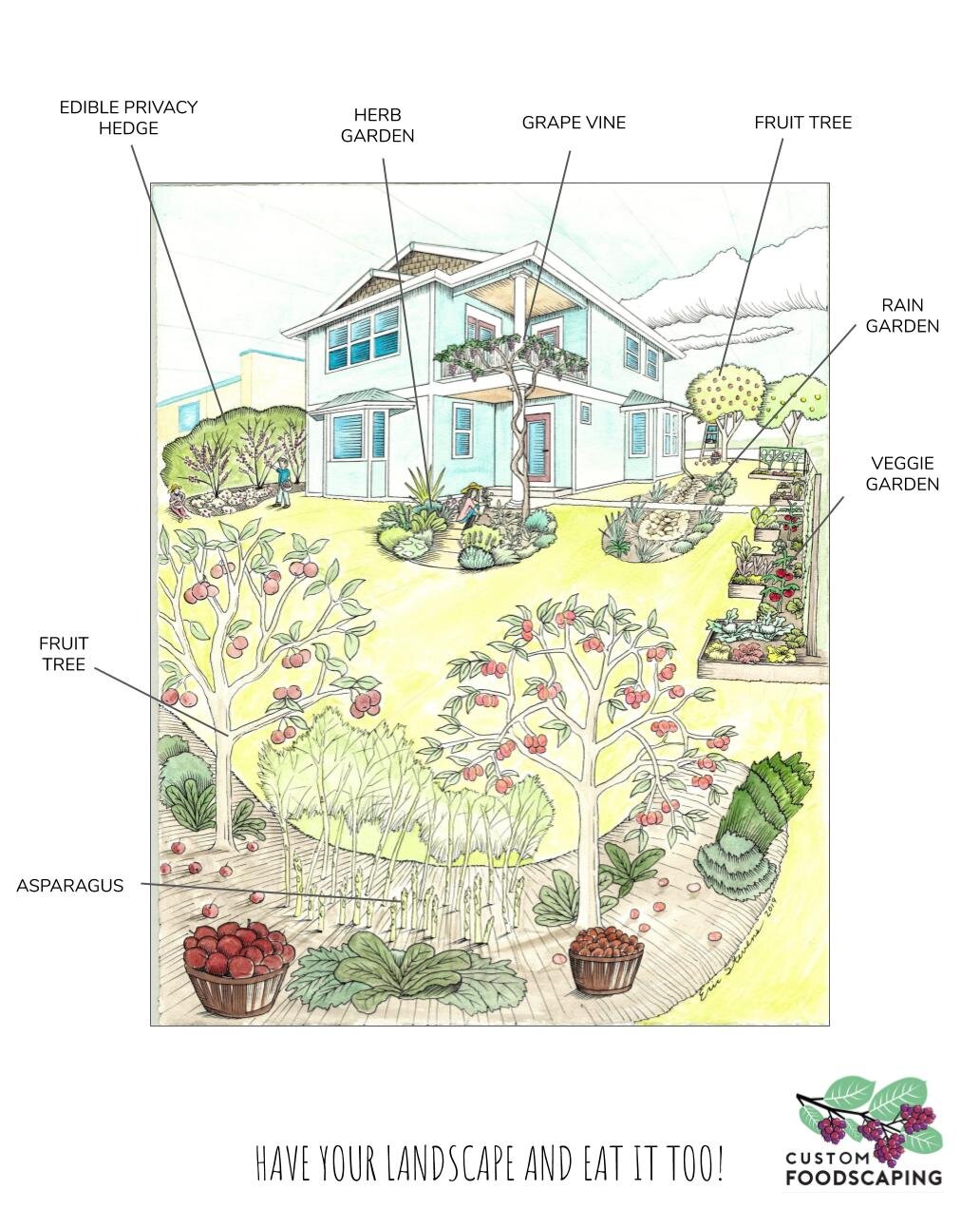 Edible Landscape Design Artwork .jpg