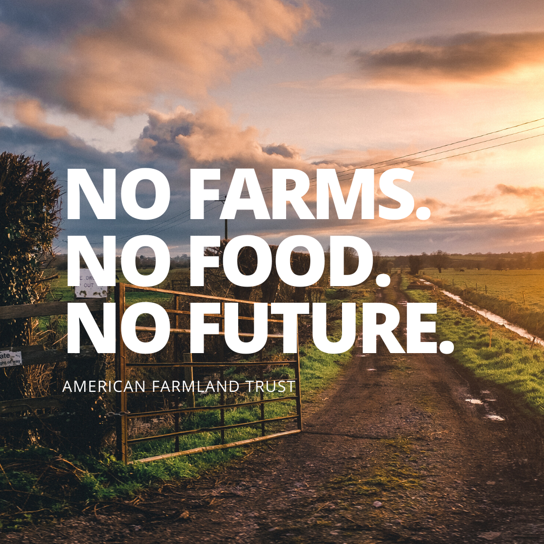 1 Million 1 000 Farmers One Month Tastemakers