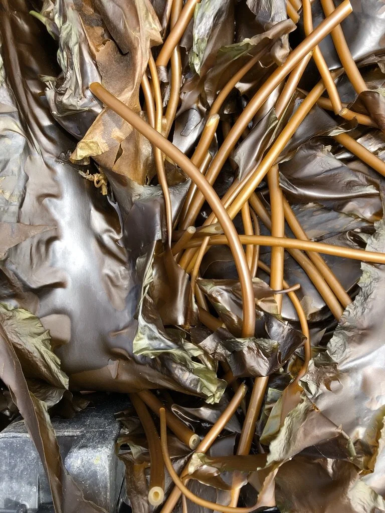 Kelp can help: Seaweed offers economic and environmental benefits (plus, it's delicious)