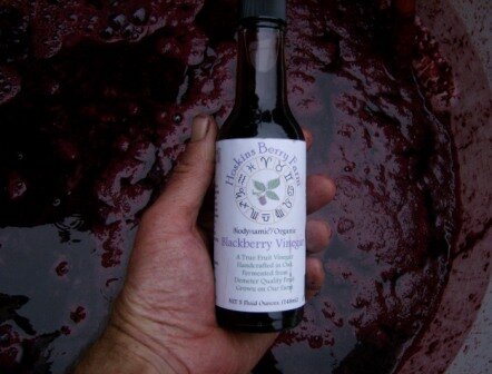 hoskins-blackberry-vinegar.jpg