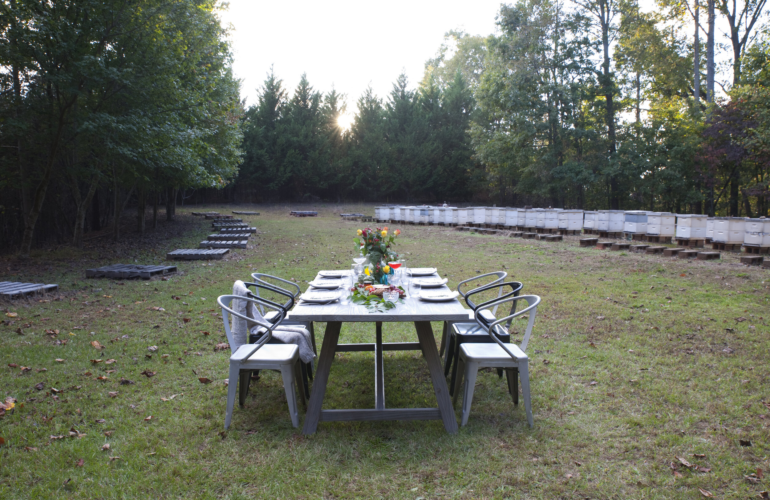 Sunset Table Setting by home apiary IMG_5127.jpg