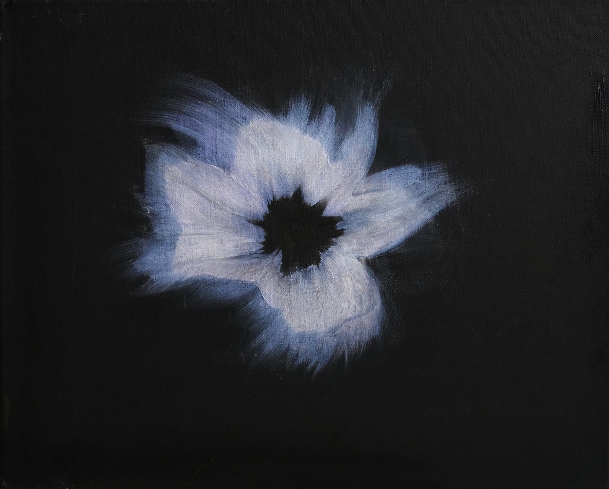 DSC05326.png