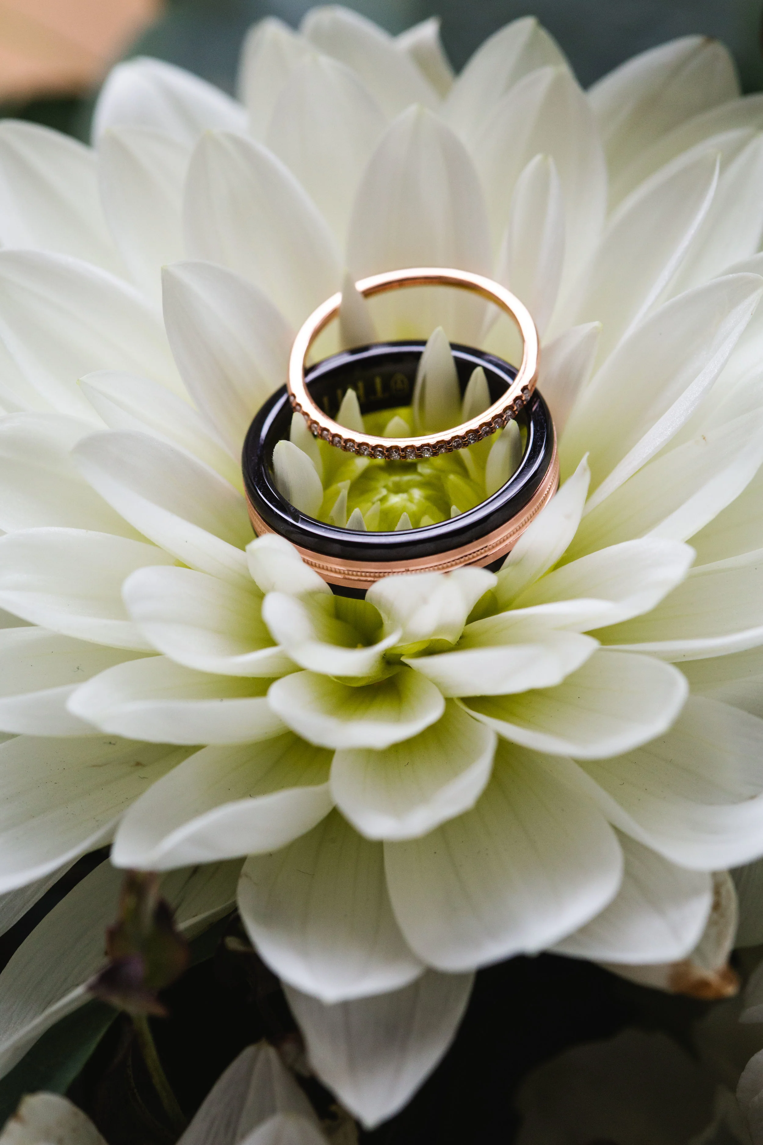 Wedding Details