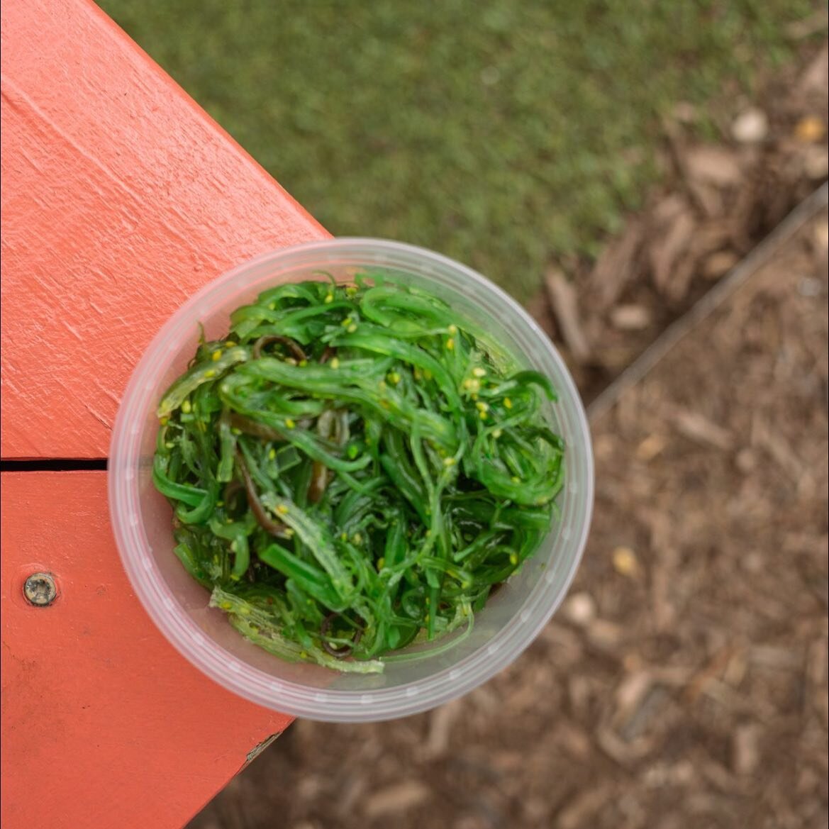 Who doesn&rsquo;t like seaweed salad?🤤

Open at 11am everyday!