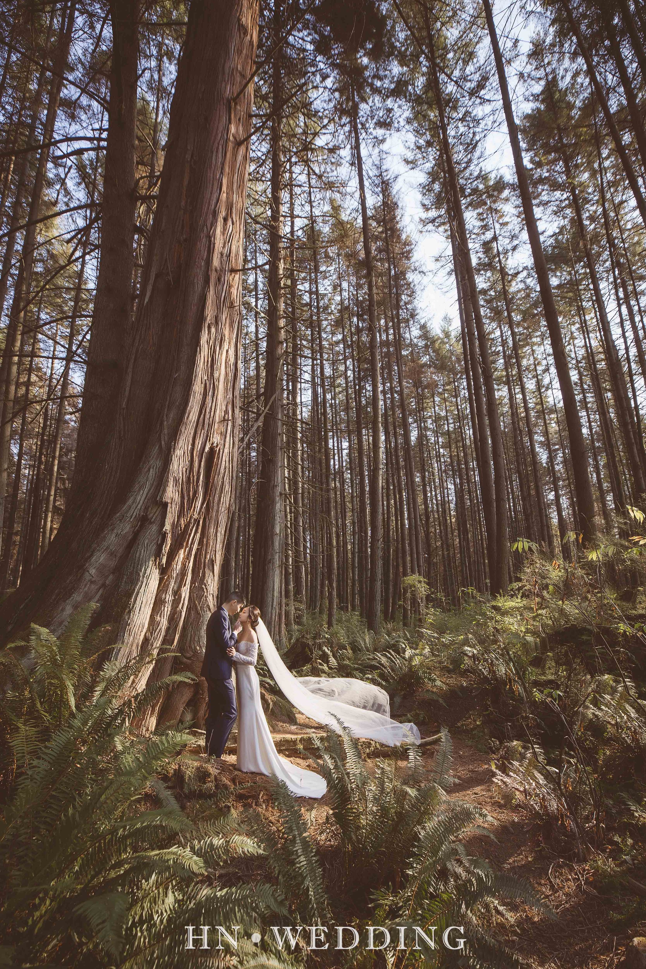 hnweddingIMGL9362.jpg